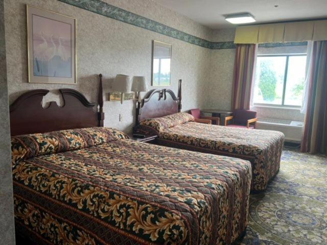Garden Inn New Castle Exterior foto